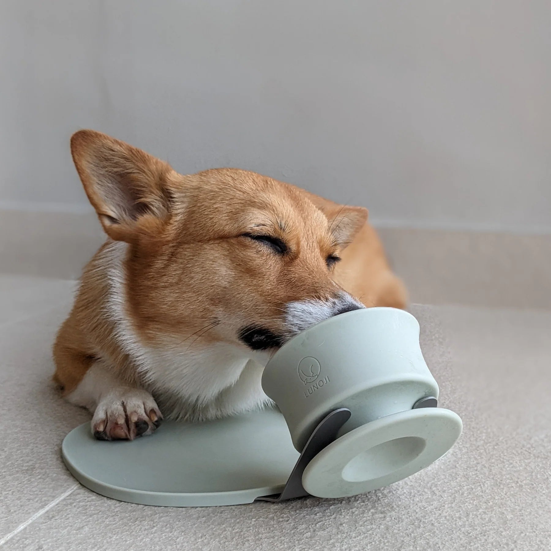 Lunoji - CHEWDEN Trove: Dog Enrichment Feeder | Frozen Treat Cup: Pastel Lilac