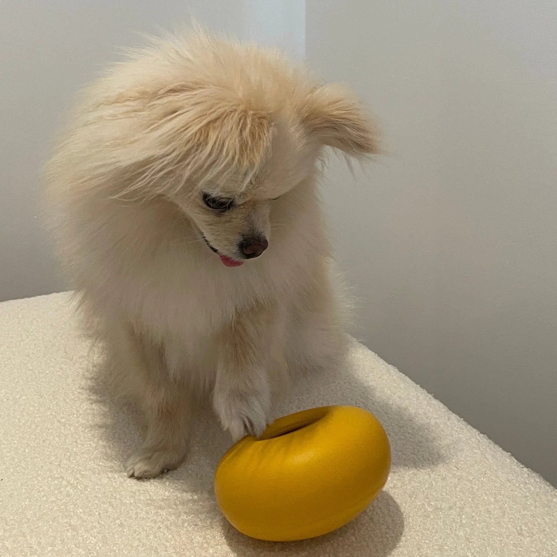 Lunoji - Pebble: All-in-One Dog Toy | Slow Feeder + Treat Dispenser: Slate Blue