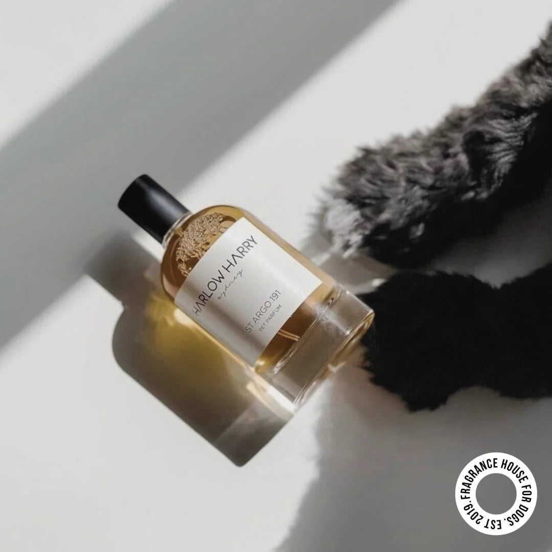 Pet Parfum | Solera 145 (St Argo 191)