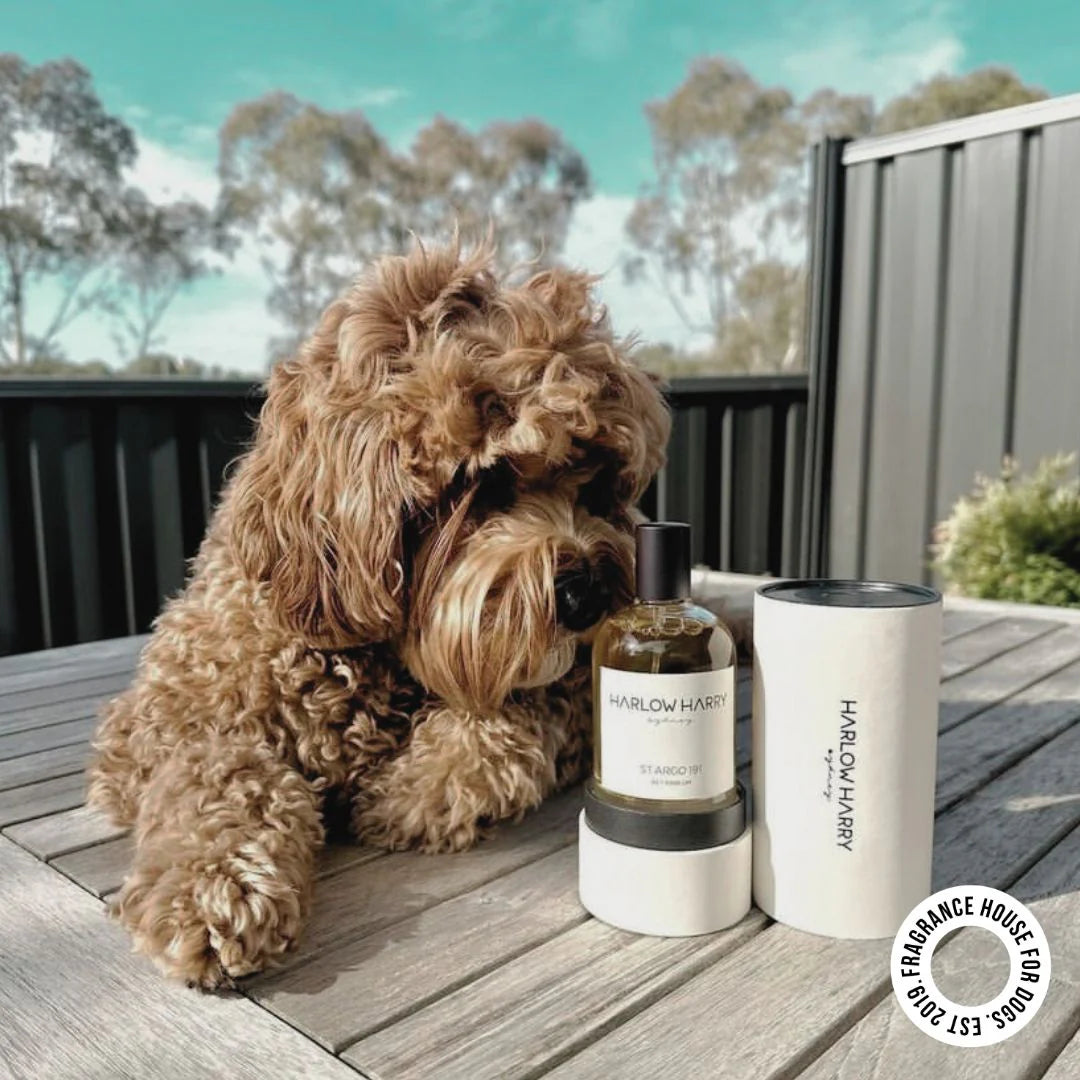 Pet Parfum | Solera 145 (St Argo 191)