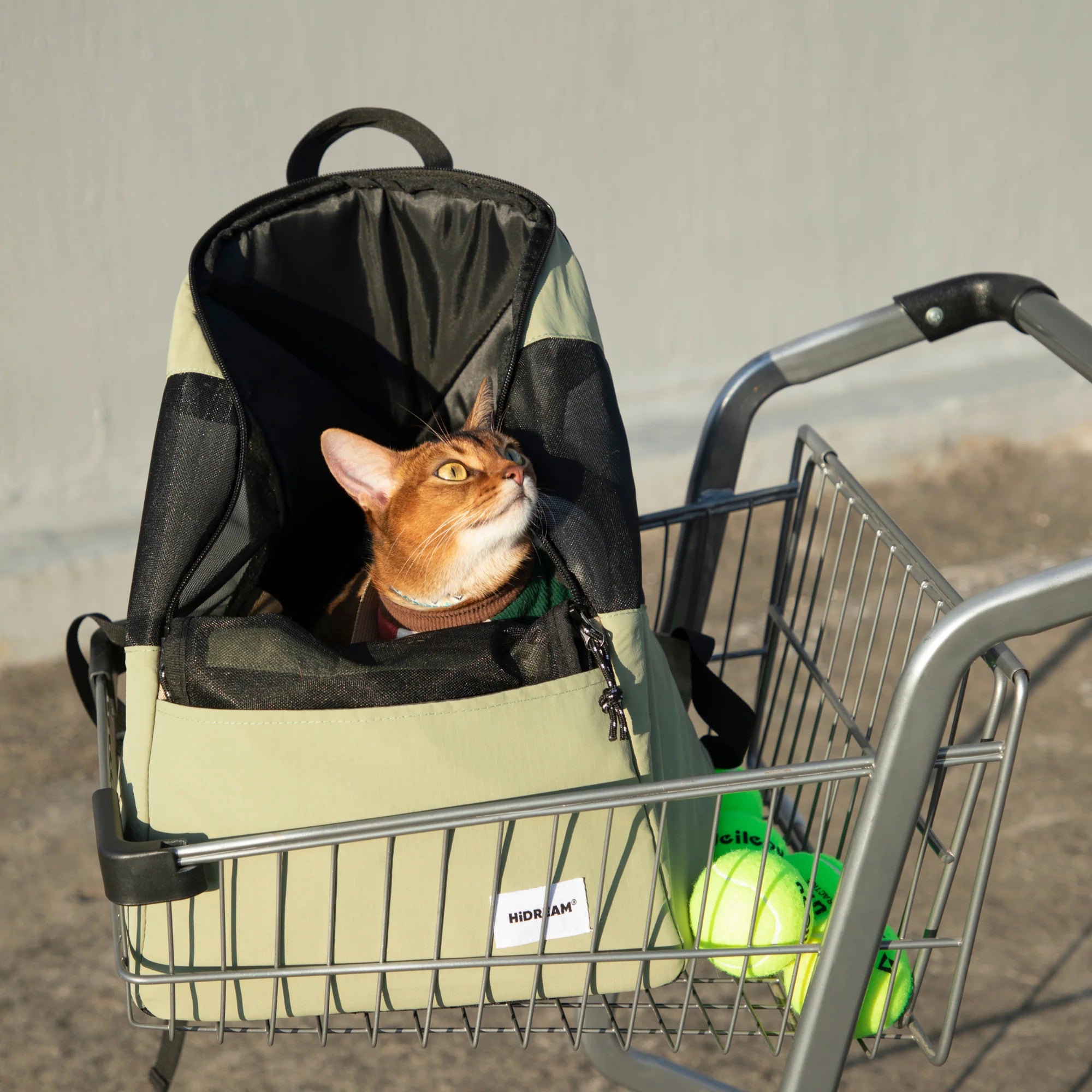 HiDREAM Mesh Pet Backpack