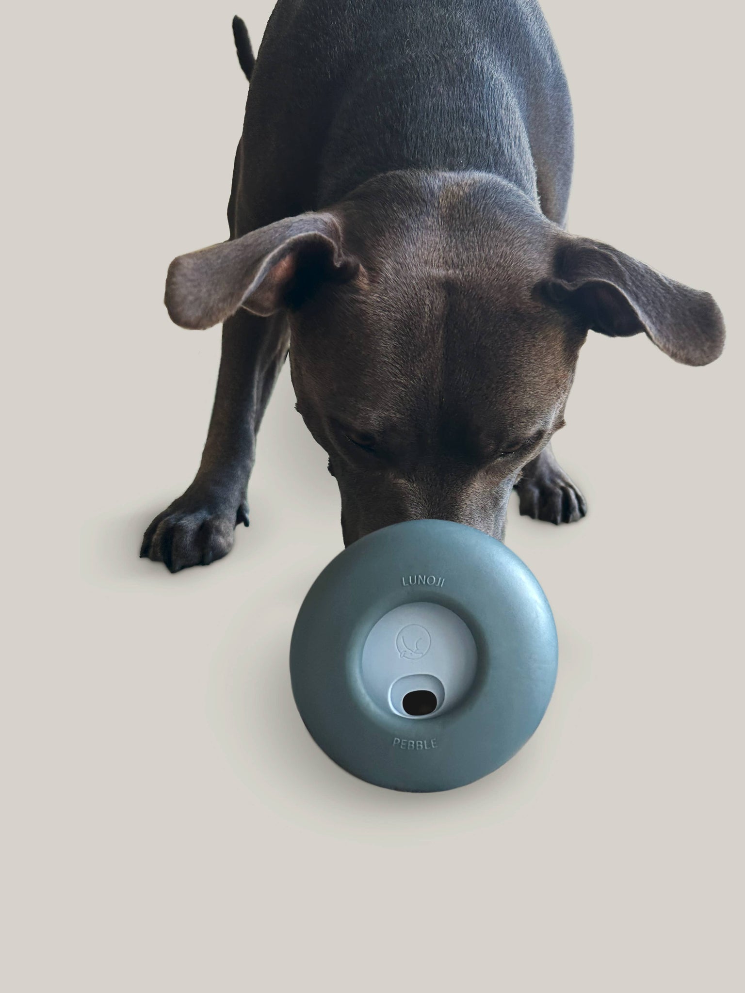 Lunoji - Pebble: All-in-One Dog Toy | Slow Feeder + Treat Dispenser: Citrine Yellow