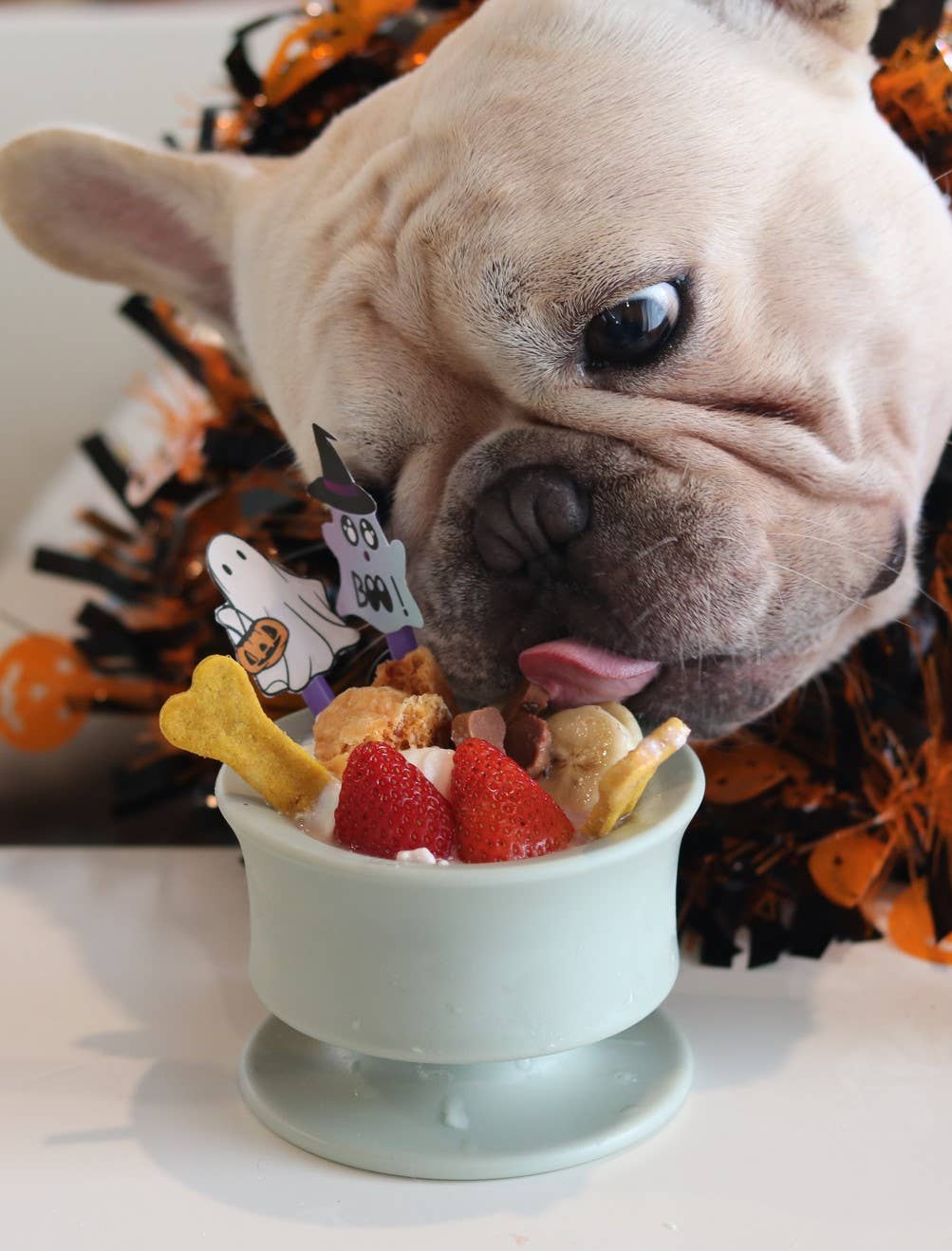 Lunoji - CHEWDEN Trove: Dog Enrichment Feeder | Frozen Treat Cup: Sakura Pink