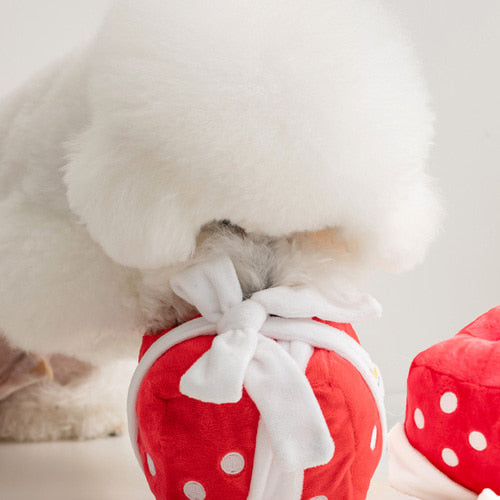 Biteme Gift Box Nosework Toy