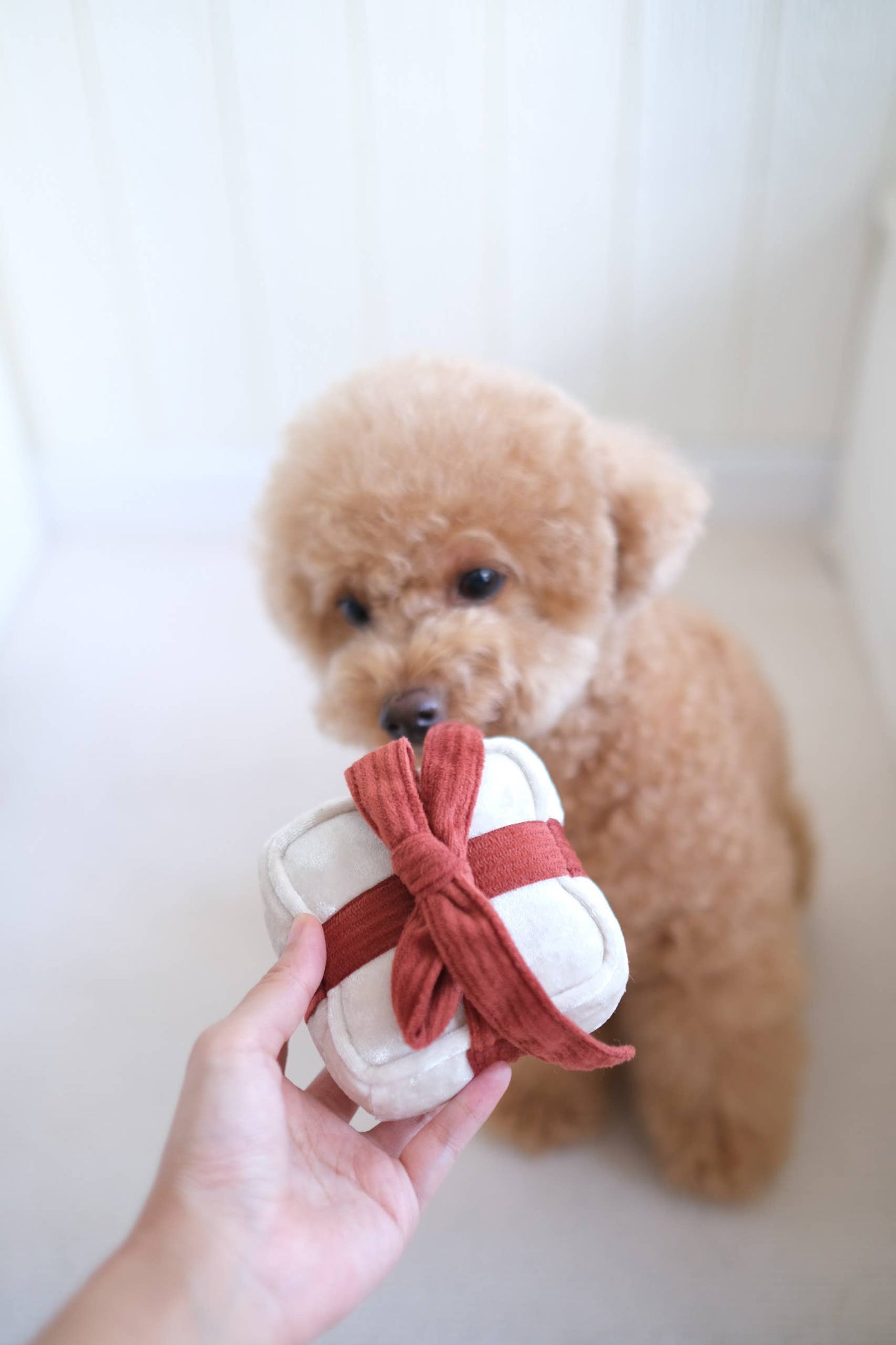 Lambwolf Collective - HOLIDAY BOX - Pine