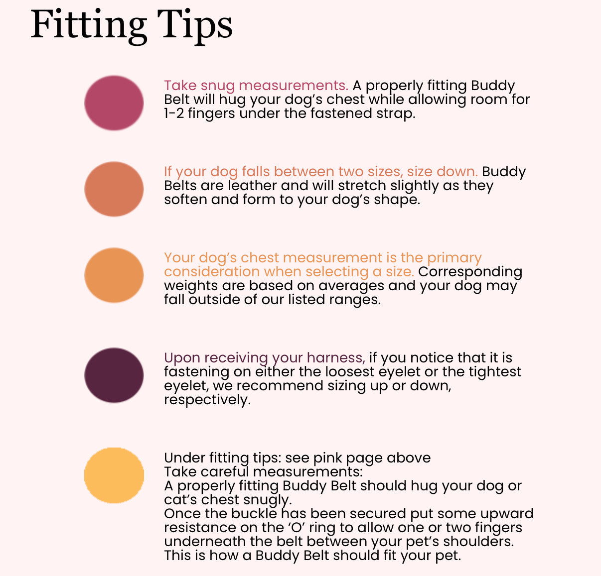 Buddy Belts Harnesses – Limited