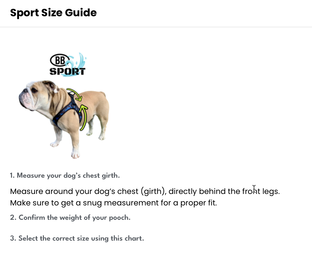 Buddy Belts Sport Harness - Vibrant Collection