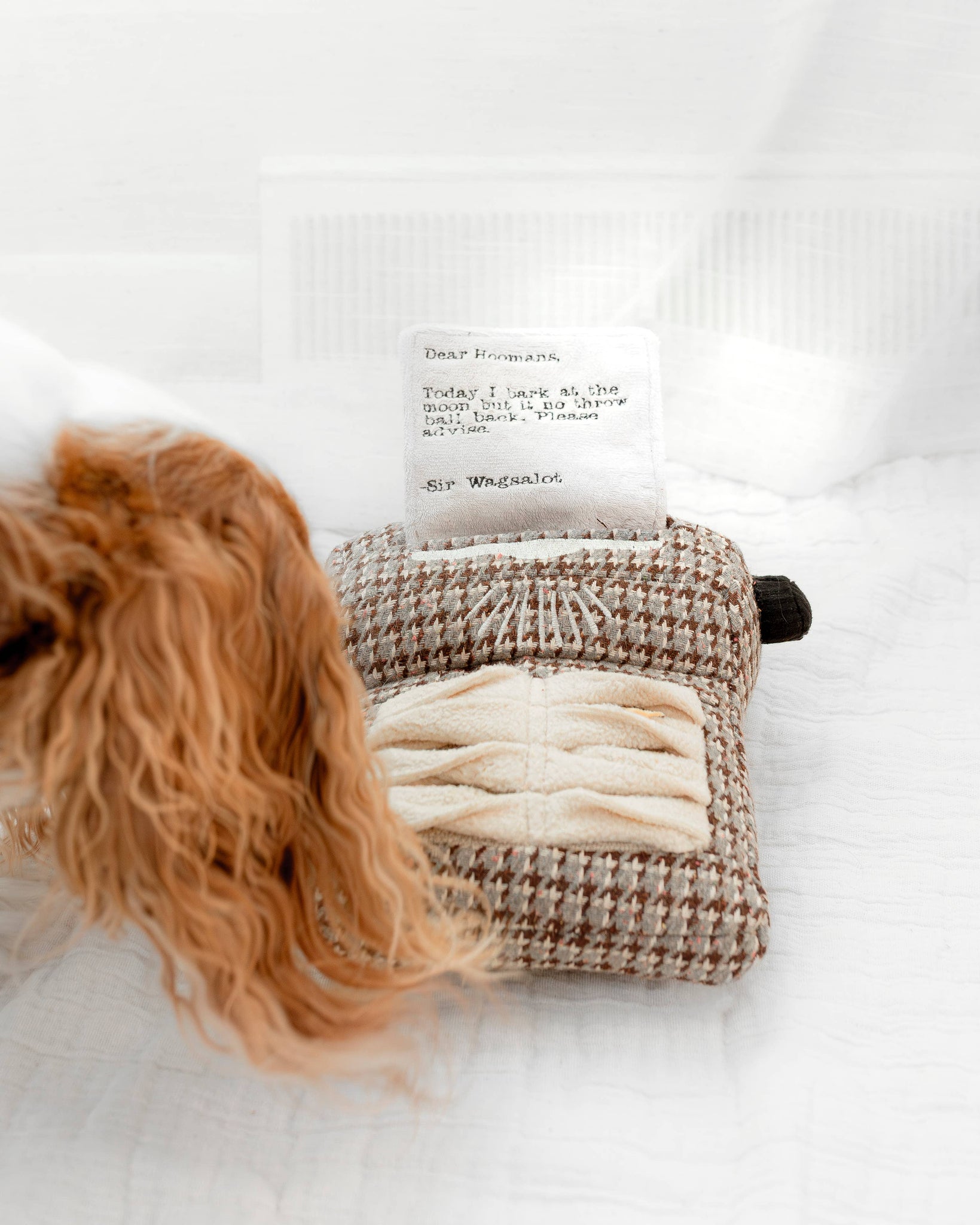 Lambwolf Collective - TYPEWRITER