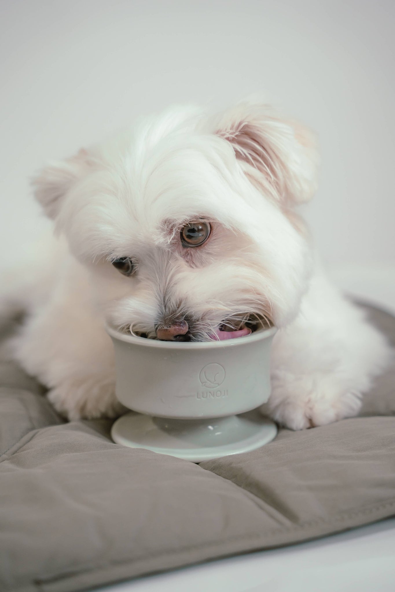 Lunoji - CHEWDEN Trove: Dog Enrichment Feeder | Frozen Treat Cup: Sakura Pink