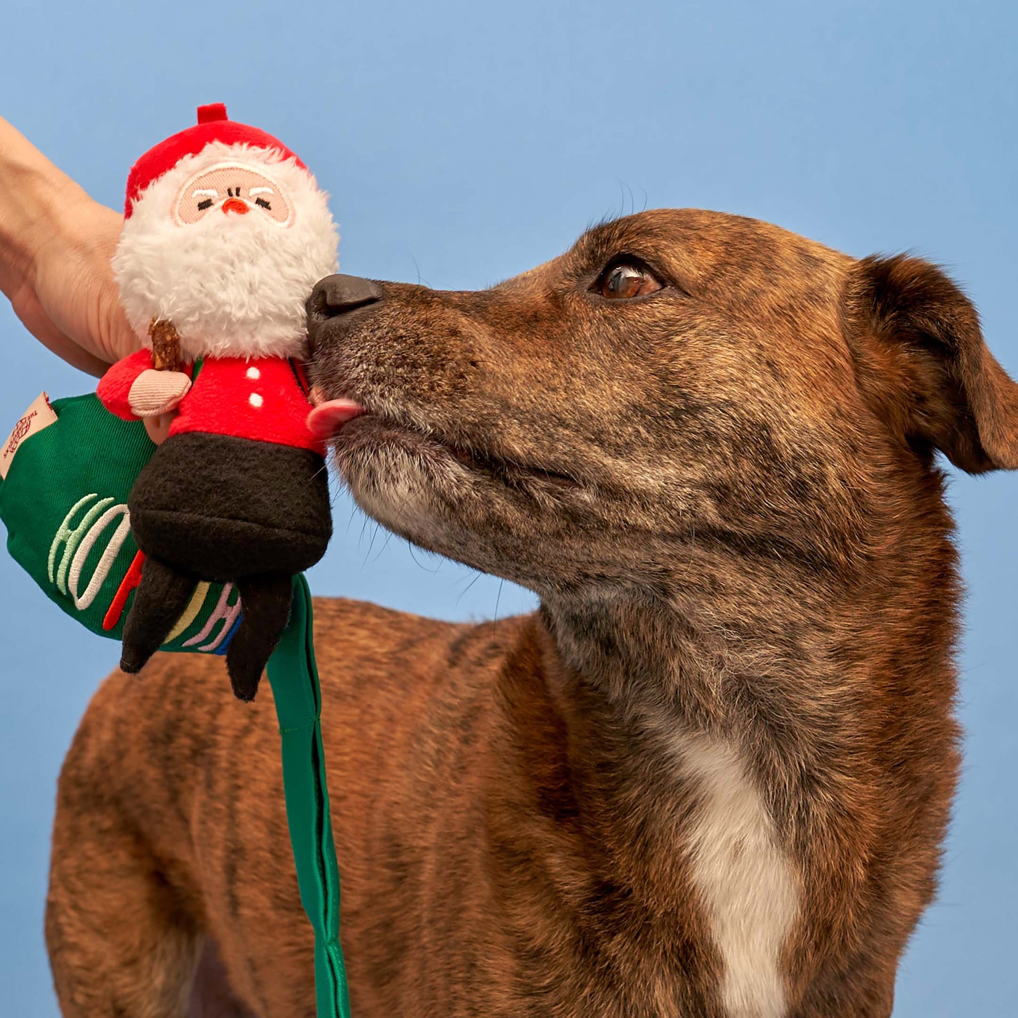 the furryfolks - Santa Paws Nosework Toy
