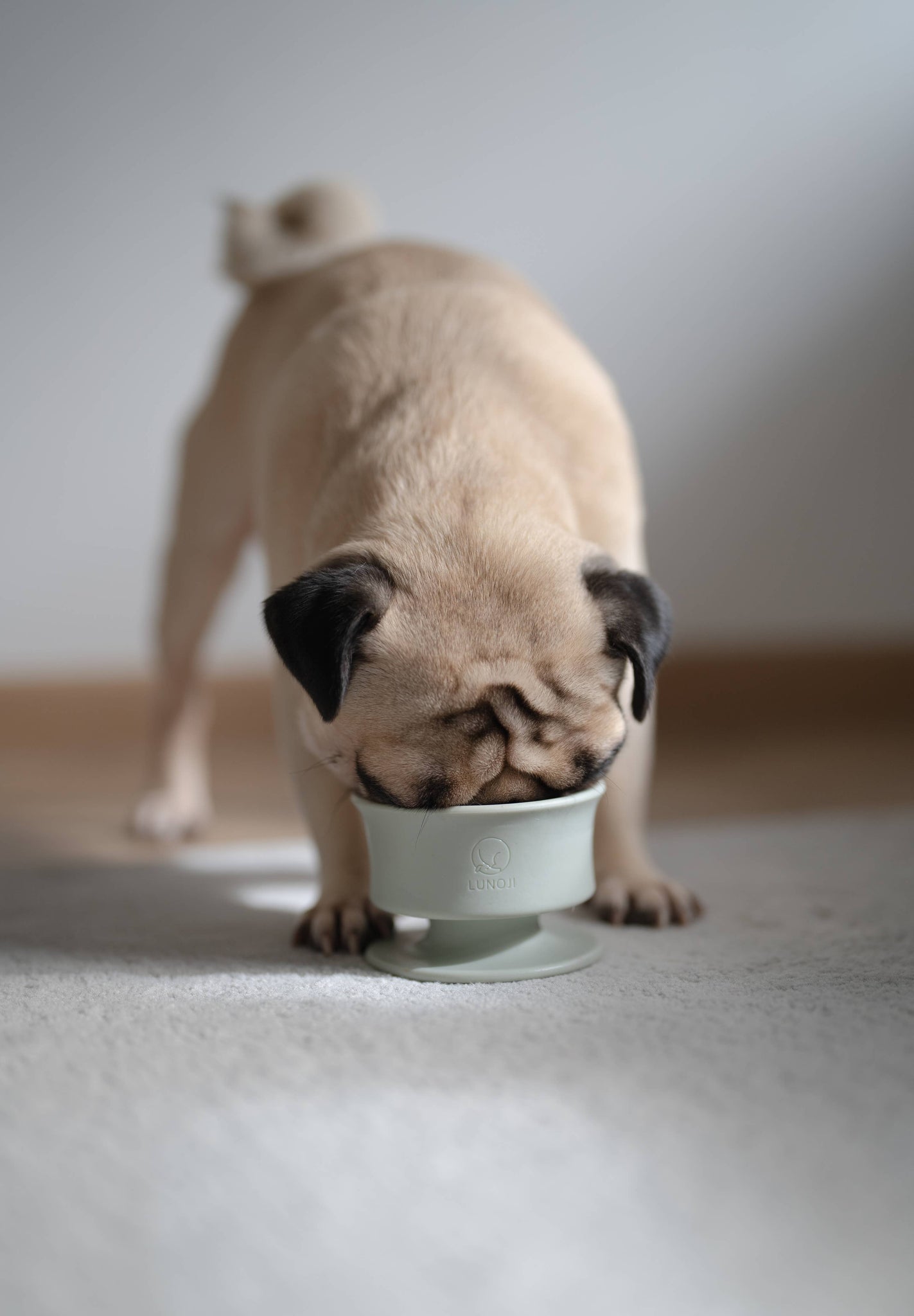 Lunoji - CHEWDEN Trove: Dog Enrichment Feeder | Frozen Treat Cup: Sakura Pink