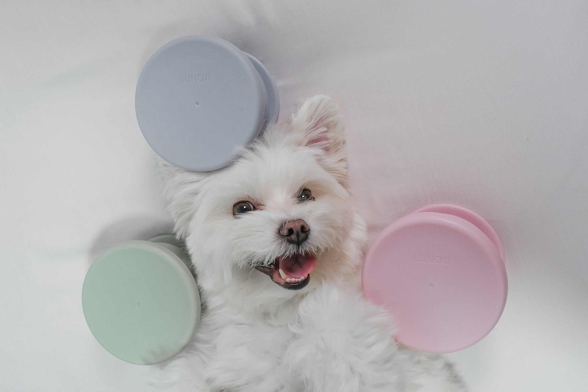 Lunoji - CHEWDEN Trove: Dog Enrichment Feeder | Frozen Treat Cup: Pastel Lilac