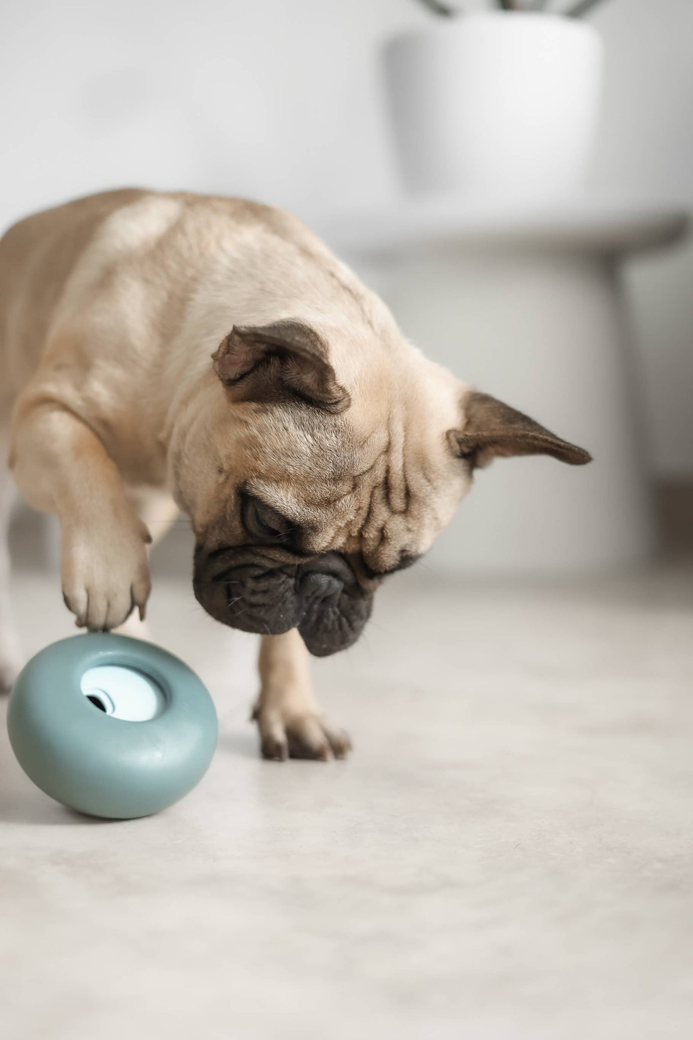 Lunoji - Pebble: All-in-One Dog Toy | Slow Feeder + Treat Dispenser: Citrine Yellow