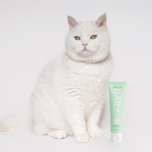 BITEME X Pet Fluencer Daily Tooth Paste for Cat