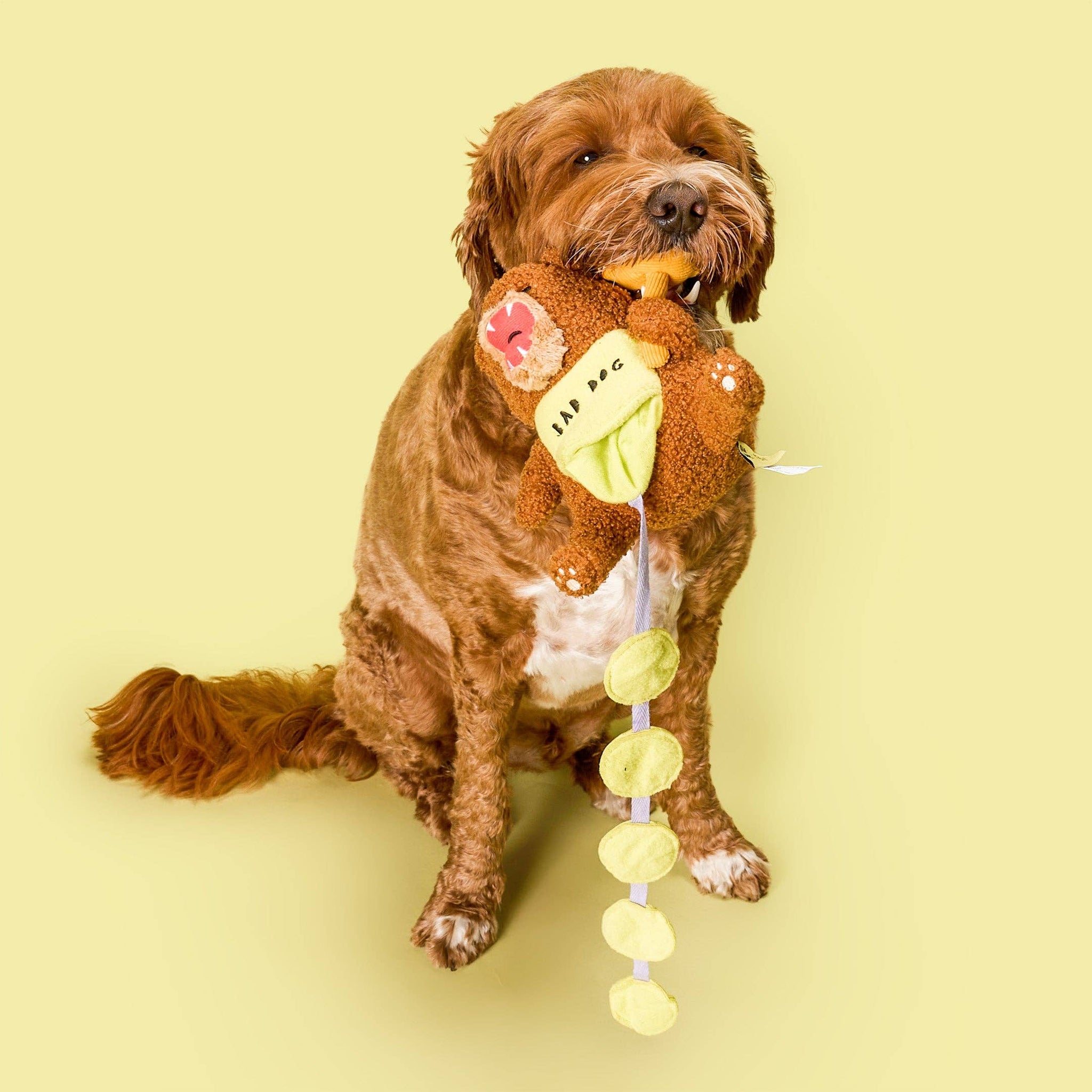 the furryfolks - Happy Bear Tofino Nosework Toy