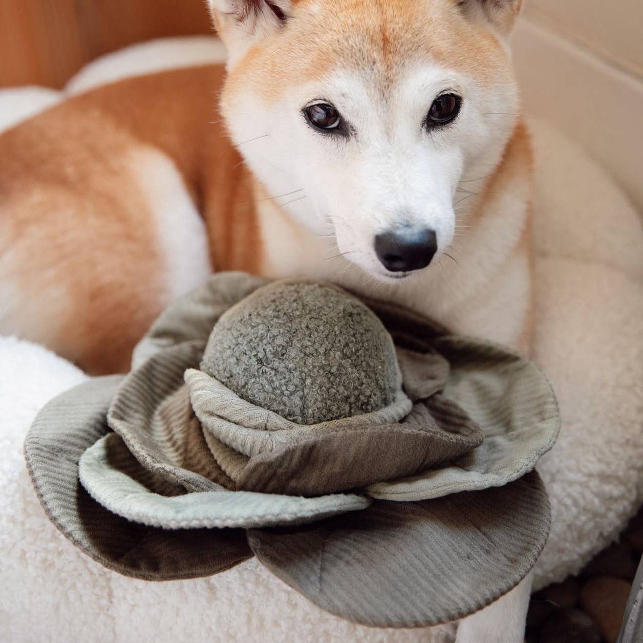 Lambwolf Collective - CABBAGE POPT - Green