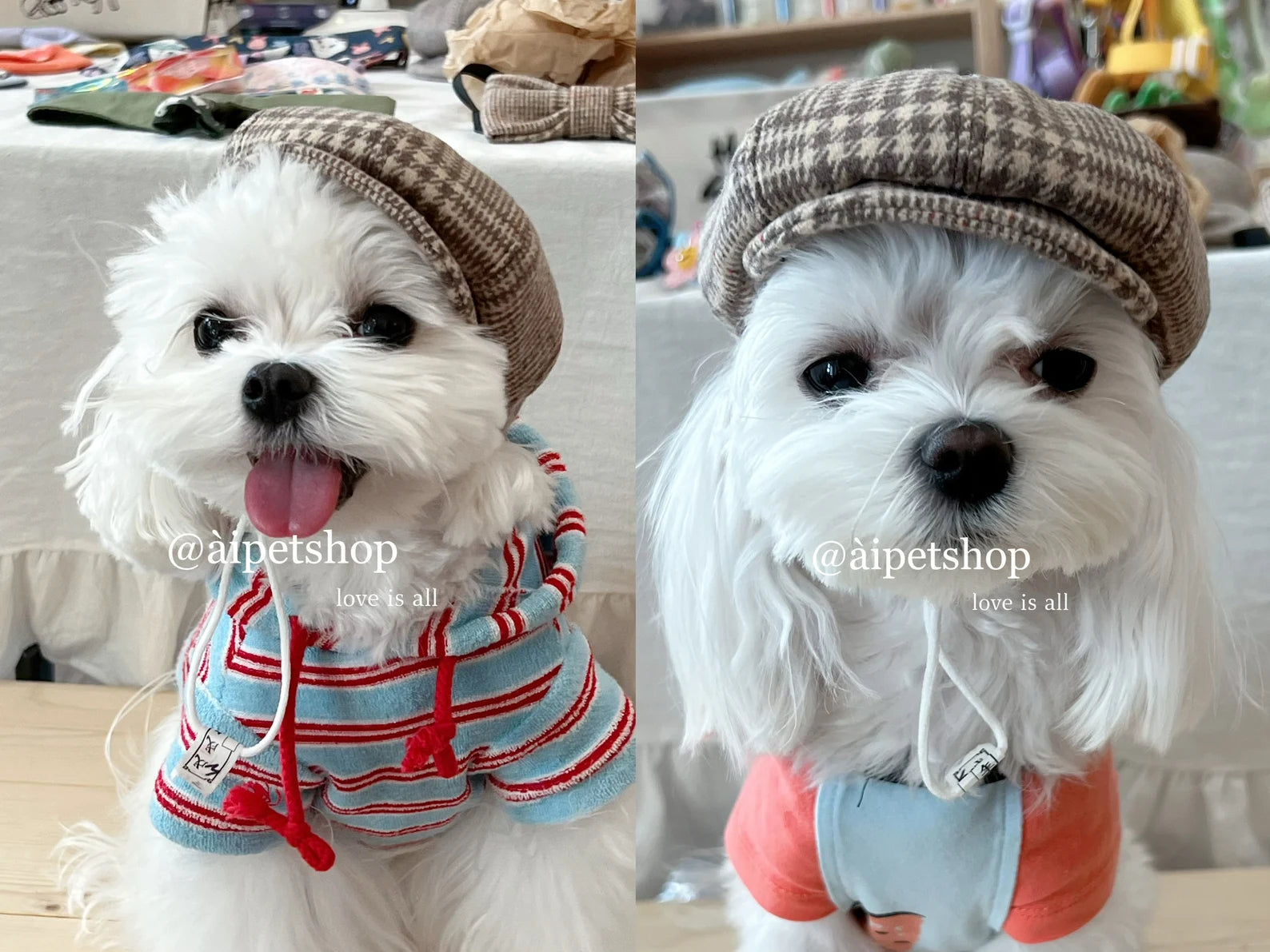Handmade Newsboy Cap & Bow Tie for Dog