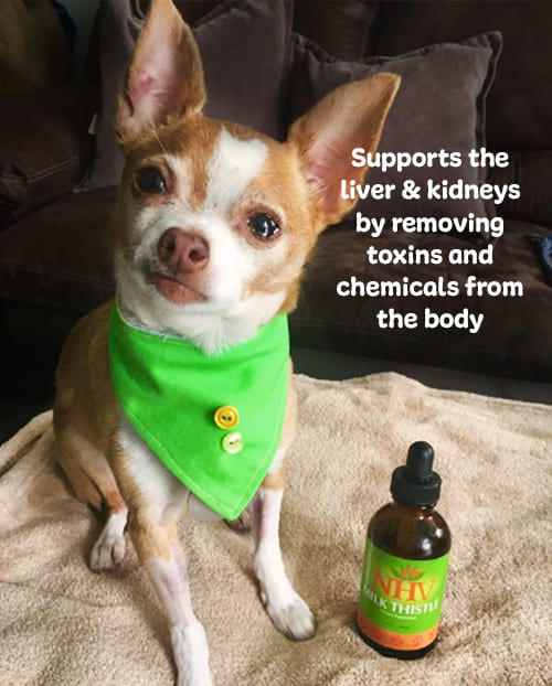 NHV Milk Thistle | Liver Support