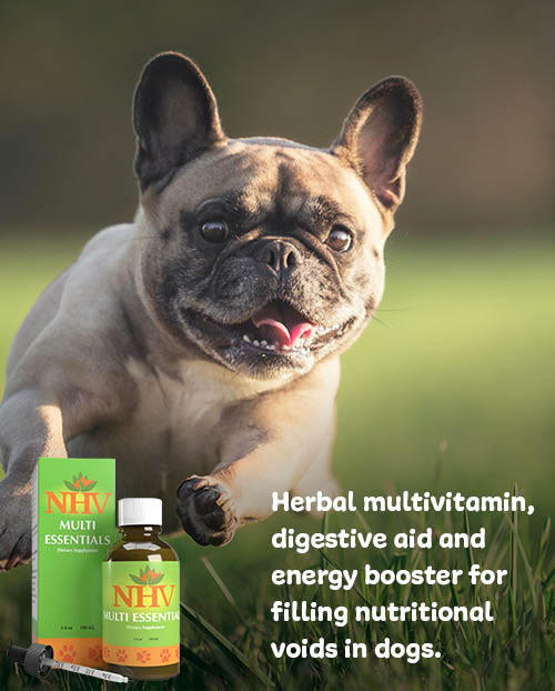 NHV Multi Essentials | Multivitamin Support