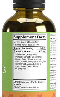 NHV Multi Essentials | Multivitamin Support