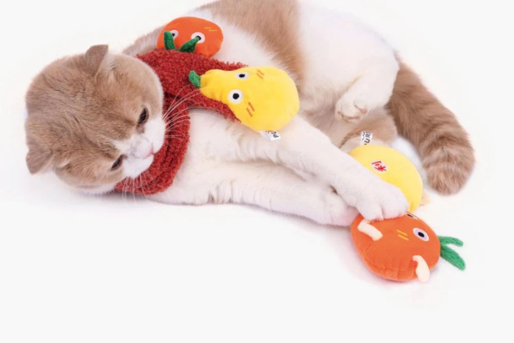 PurLab Oranges & Pears Cat Toy Set