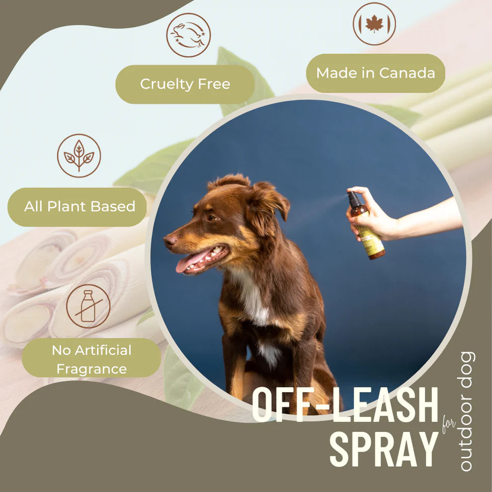 Lemongrass & Mint Off-Leash Dog Spray