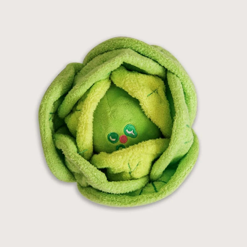 Cabbage Sniffing Dog Toy