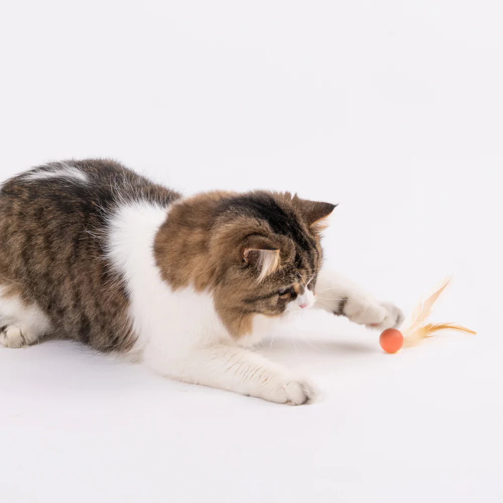 Cat Toy Bouncy Ball 3 PCS
