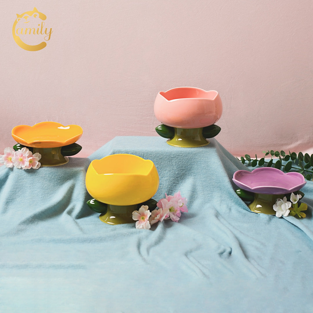 Camily Ceramic Pet Flower Bowl & Plate