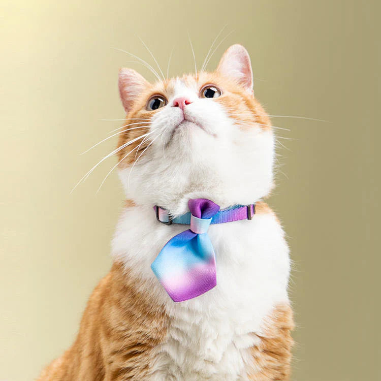 Pet Necktie for Cats