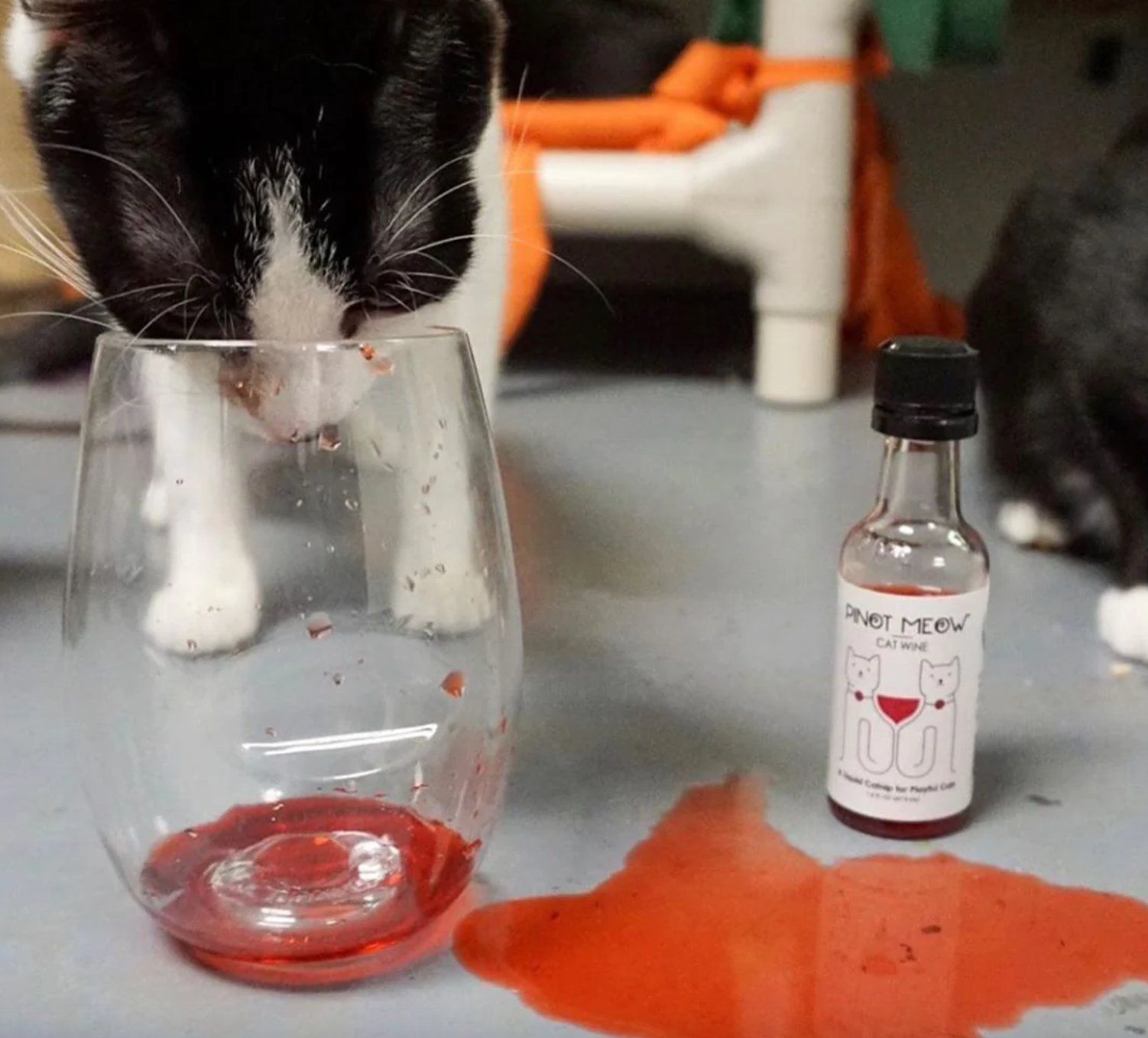 Pinot Meow Cat Wine - 50ml