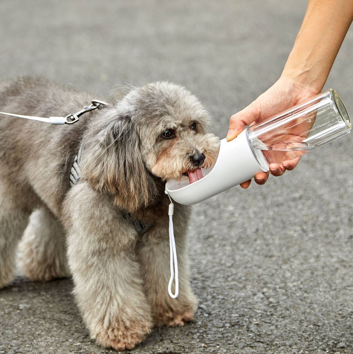 PETKIT Eversweet Travel Bottle