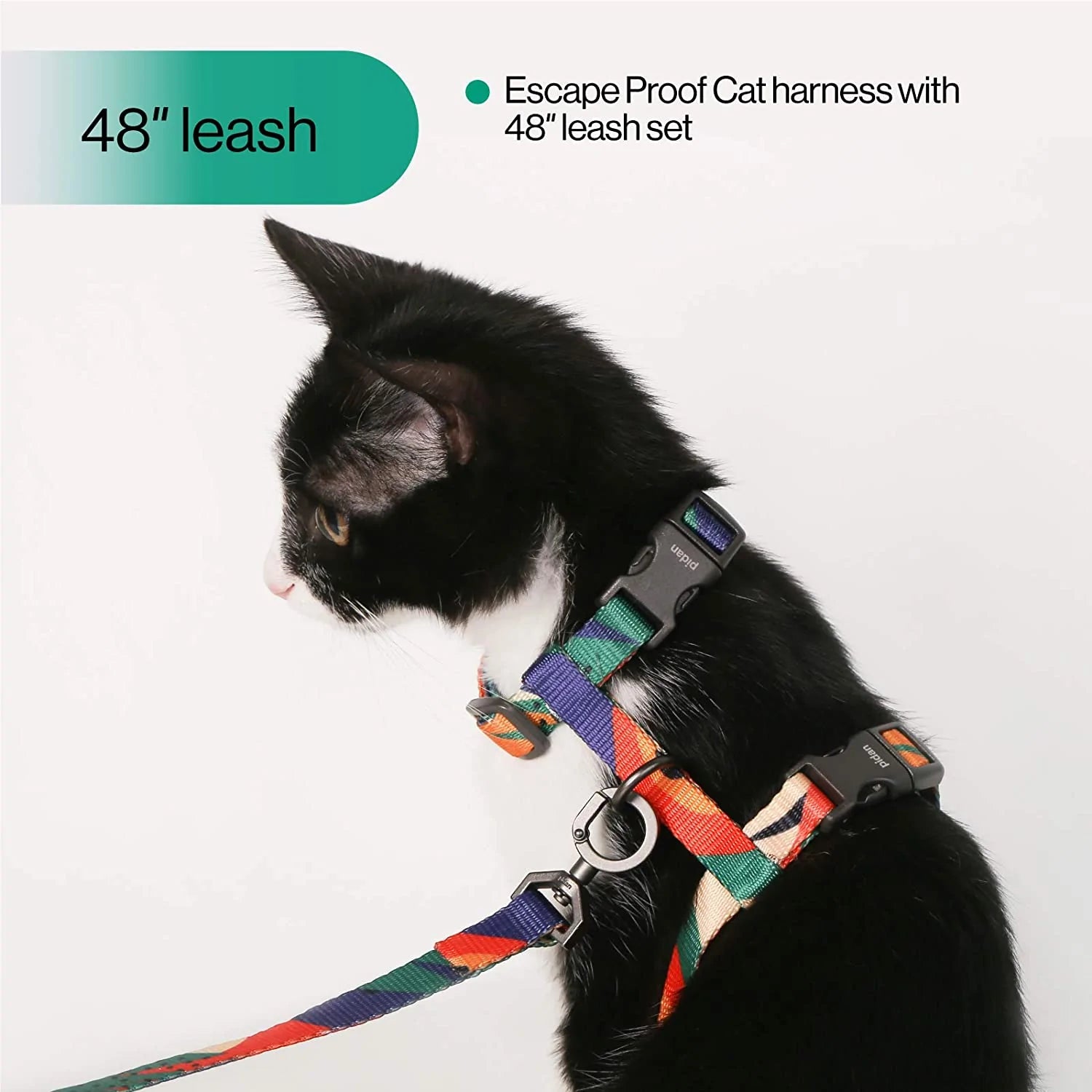 Cat Harness and Leash Set