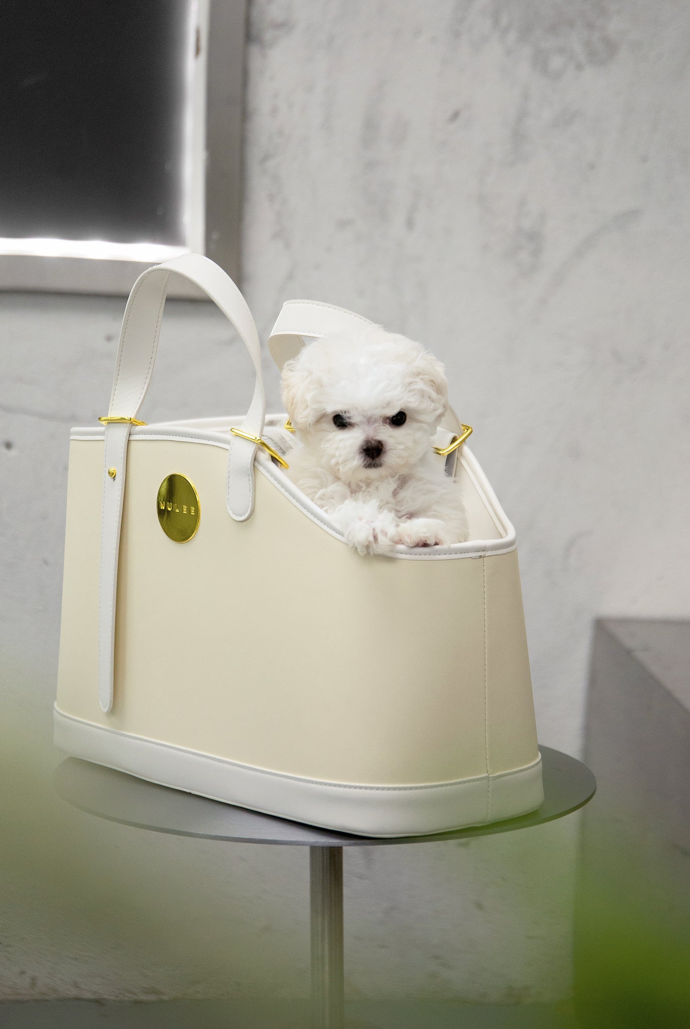 Chic Pet Carrier
