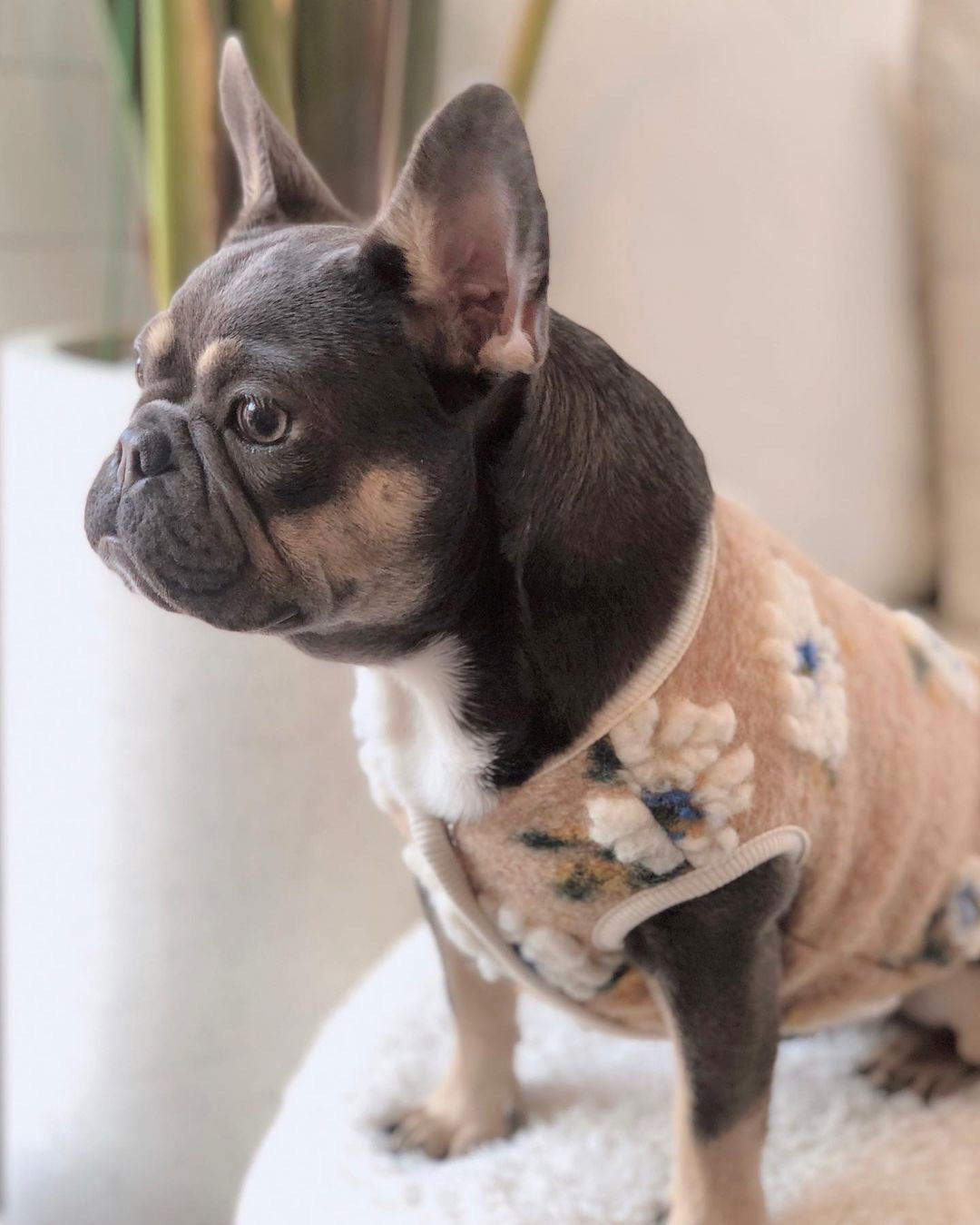Flower Embroidery Dog Fleece Vest