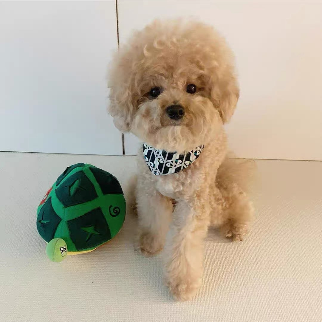 Mr. Turtle Sniffing Dog Toy