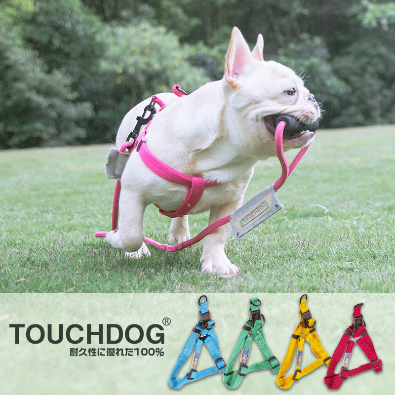 Touchdog Harness & Leash Set