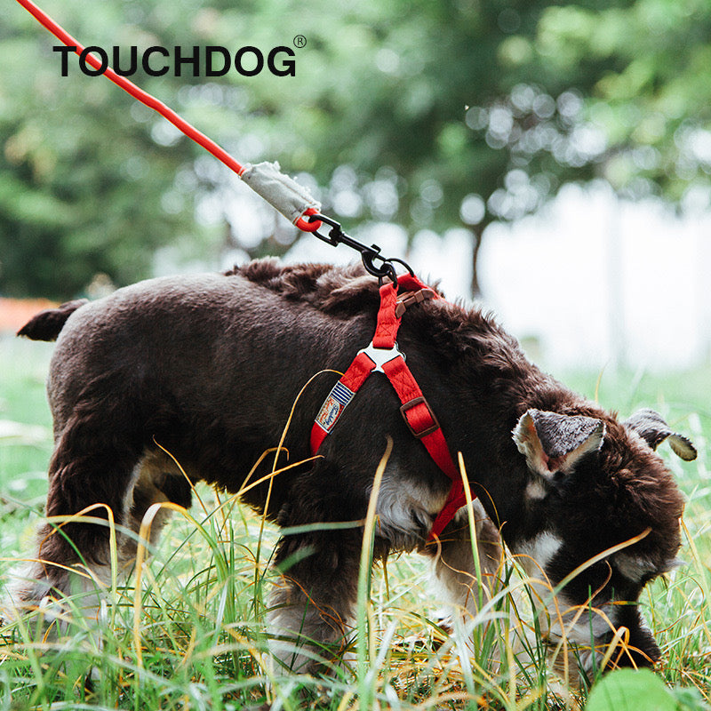 Touchdog Harness & Leash Set