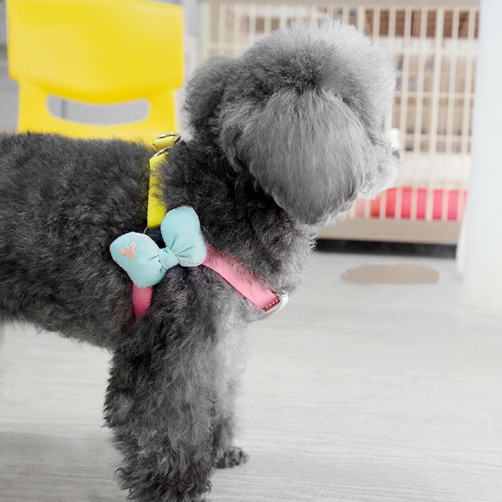 Little Princess Dog Harness & Leash Set