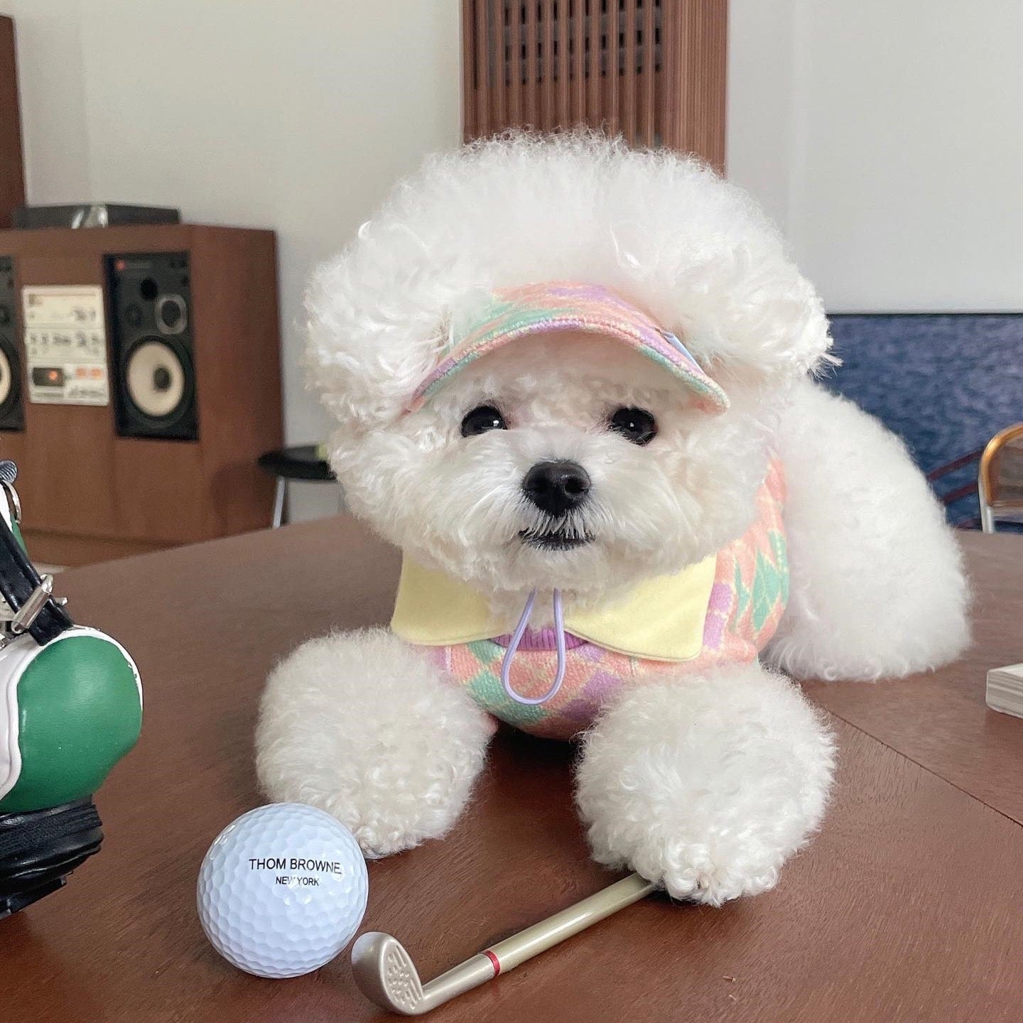 Cute Golf Dog Shirt