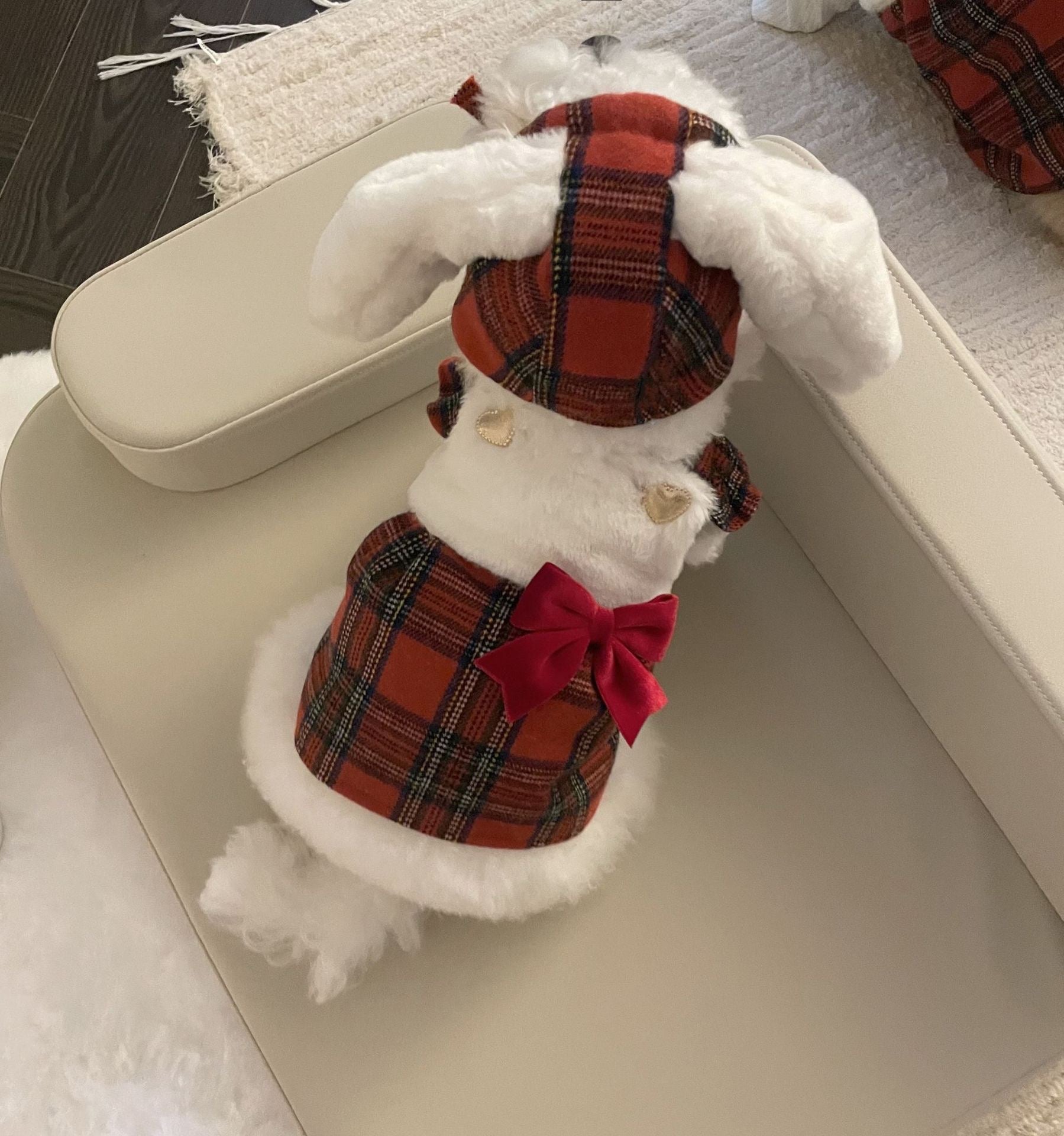 Bunny Holiday Pet Dress Set