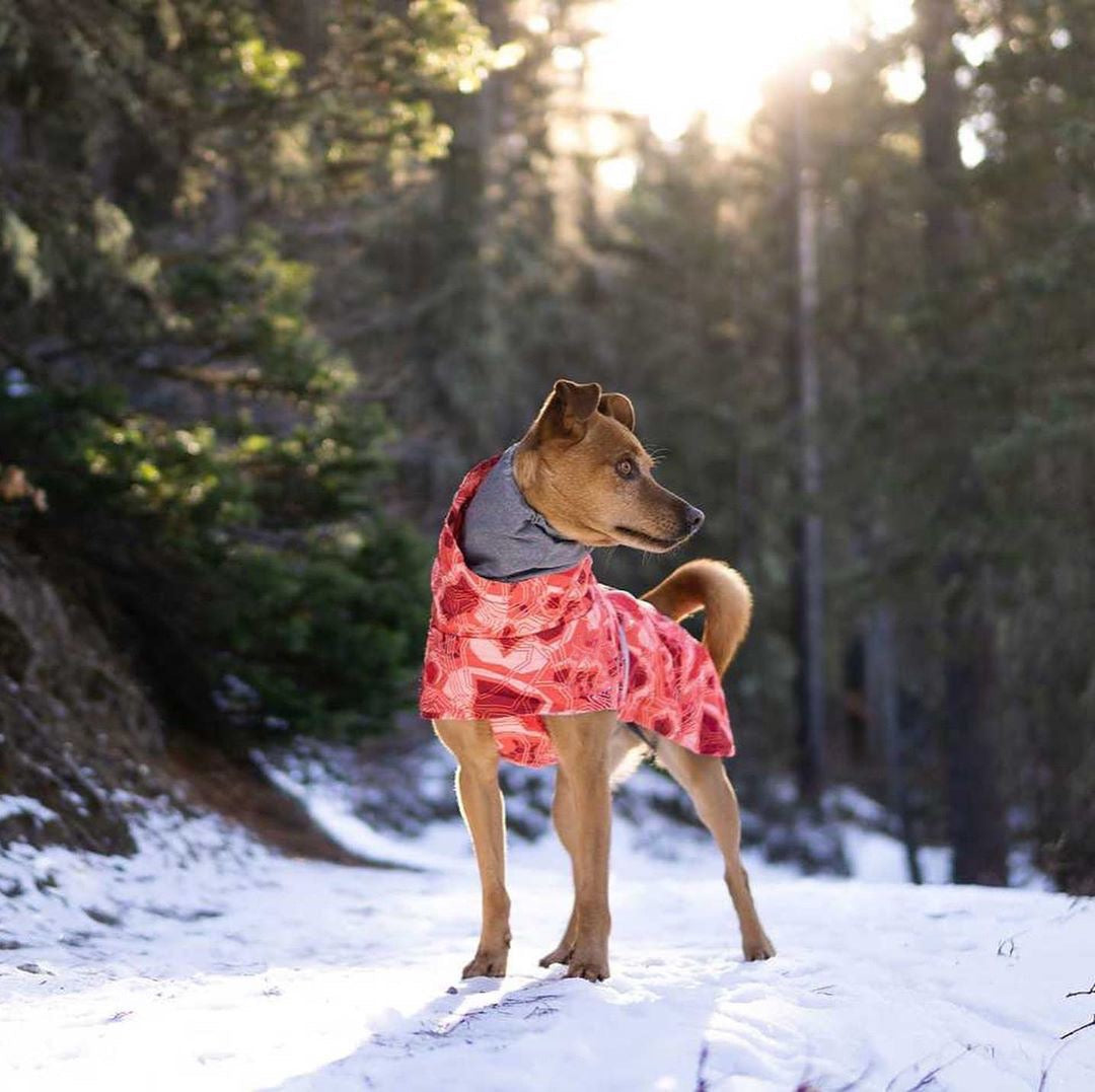 Winter Lover Dog Parka Raincoat