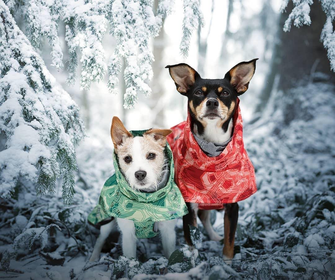 Winter Lover Dog Parka Raincoat