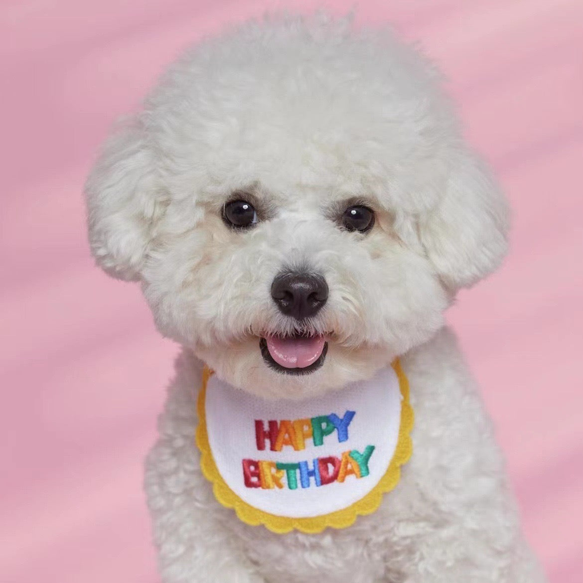 Happy Birthday Pet Apron Bib