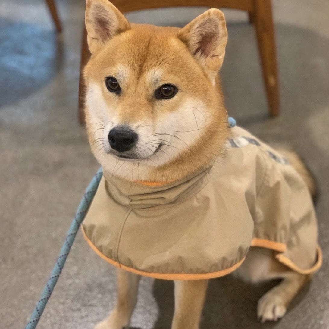 Rain Lover Dog Raincoat