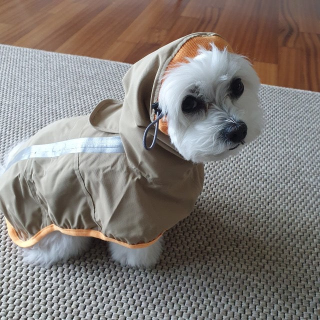 Rain Lover Dog Raincoat