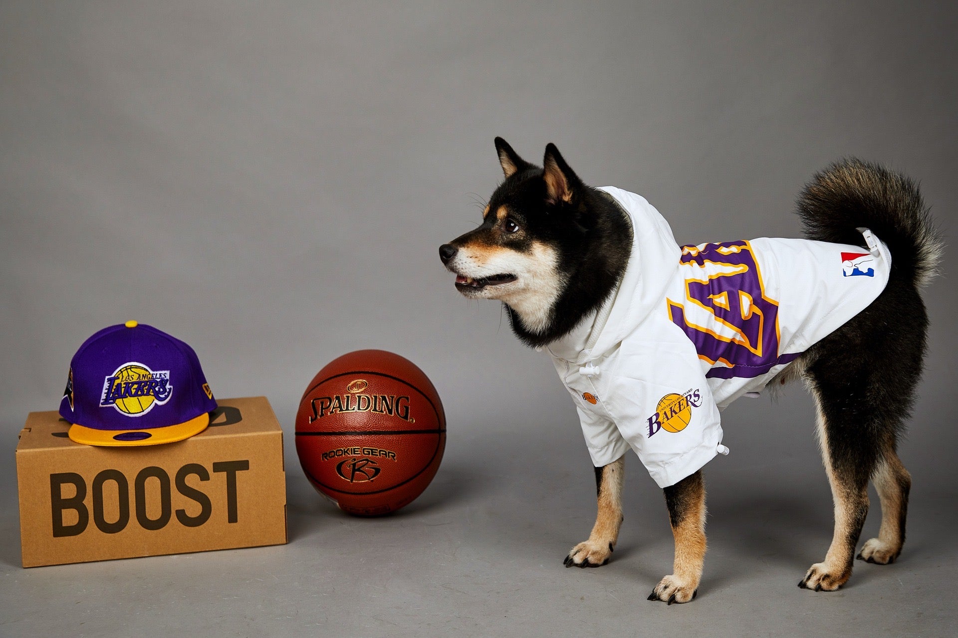Laker Dog Rain Jacket