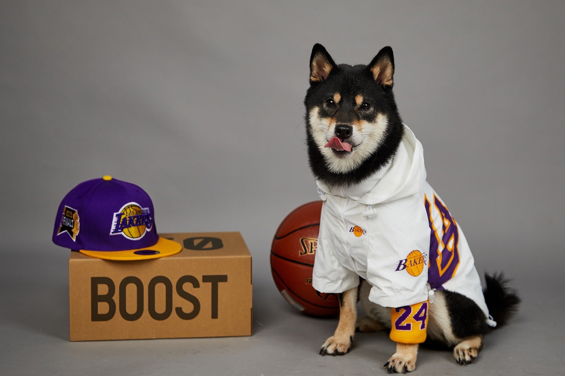 Laker Dog Rain Jacket