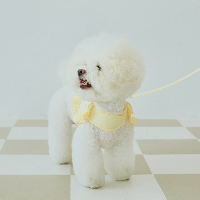 Flower Dog Harness & Leash Set