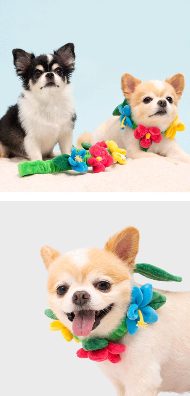 Flower Dog Toy